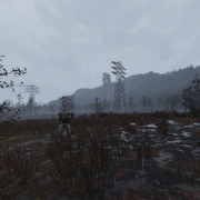 74