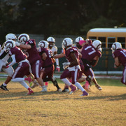 IMG-1293