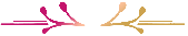 Folder 2 (1).png