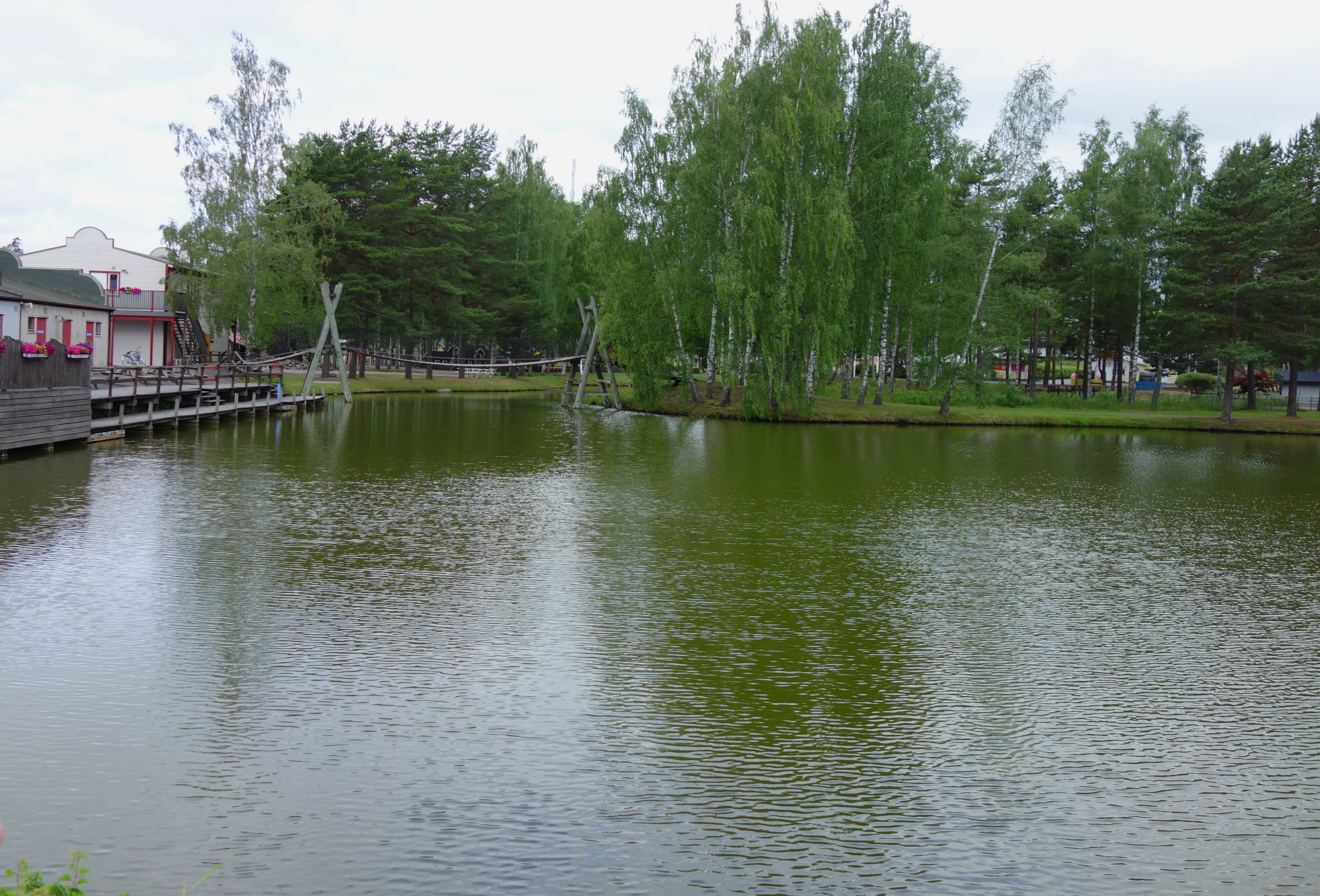 DSC08385