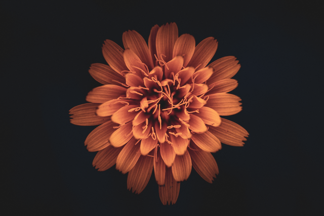set-33-oct2025-162