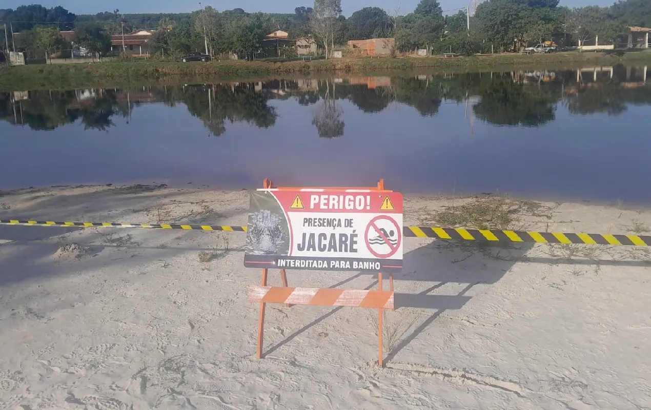 Jacare Btu