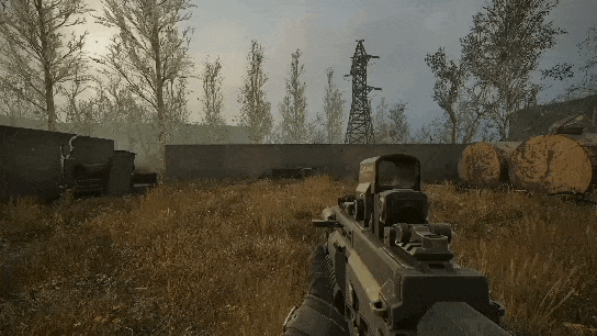 stalone-1.gif