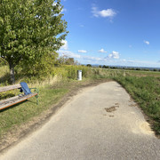 IMG-2516