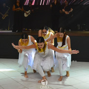 IMG 0517