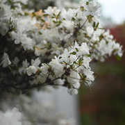 DSC 9080