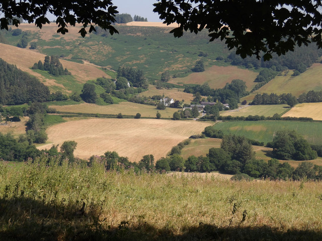 IMGP0235.jpg