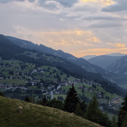 IMG 20260811 195130