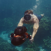Scuba Diving