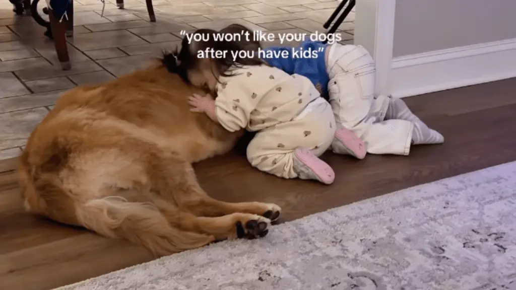 Golden Retriever Snuggles Up with Baby Sisters