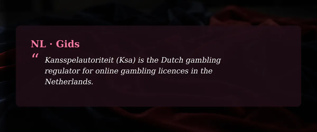 De kern van gokspellen casino in het Nederlandse landschap — Gids