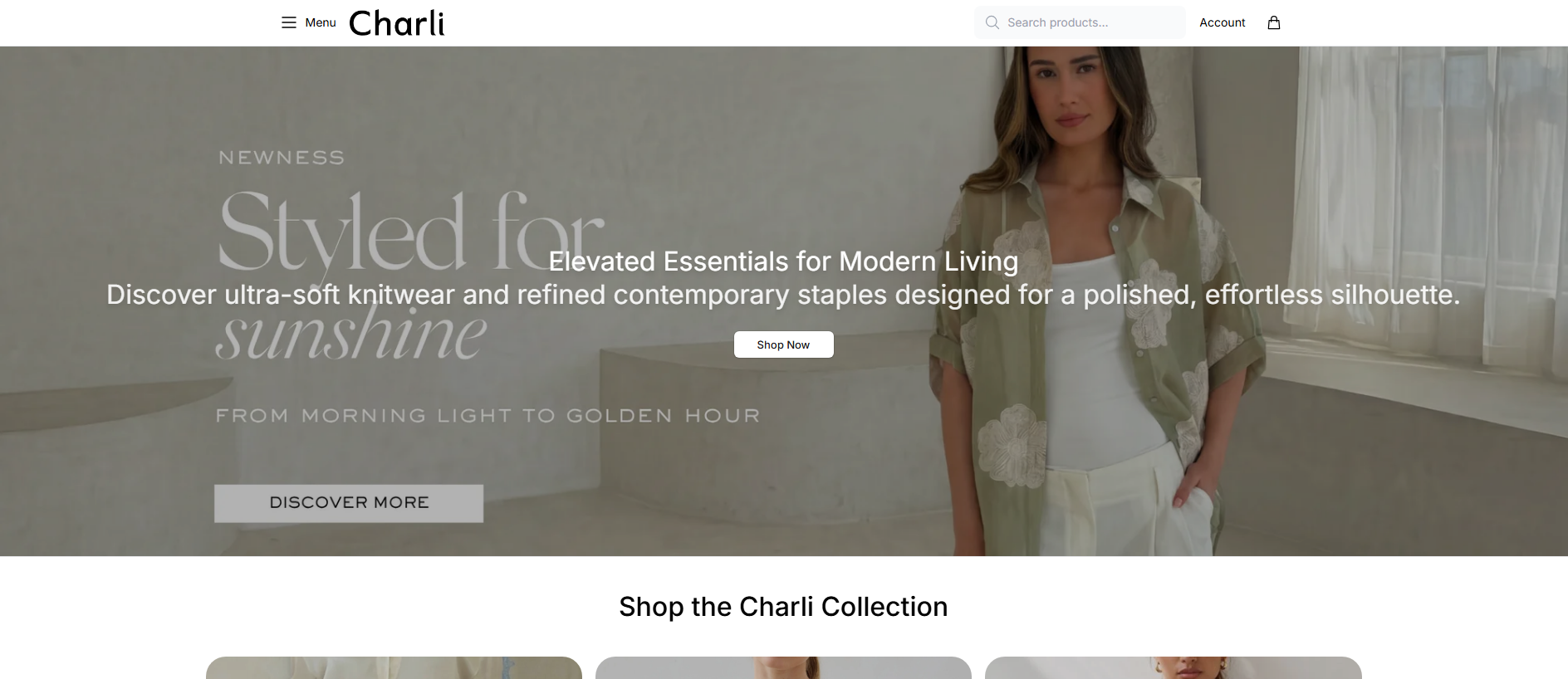 Stored capture of arlilane.shop