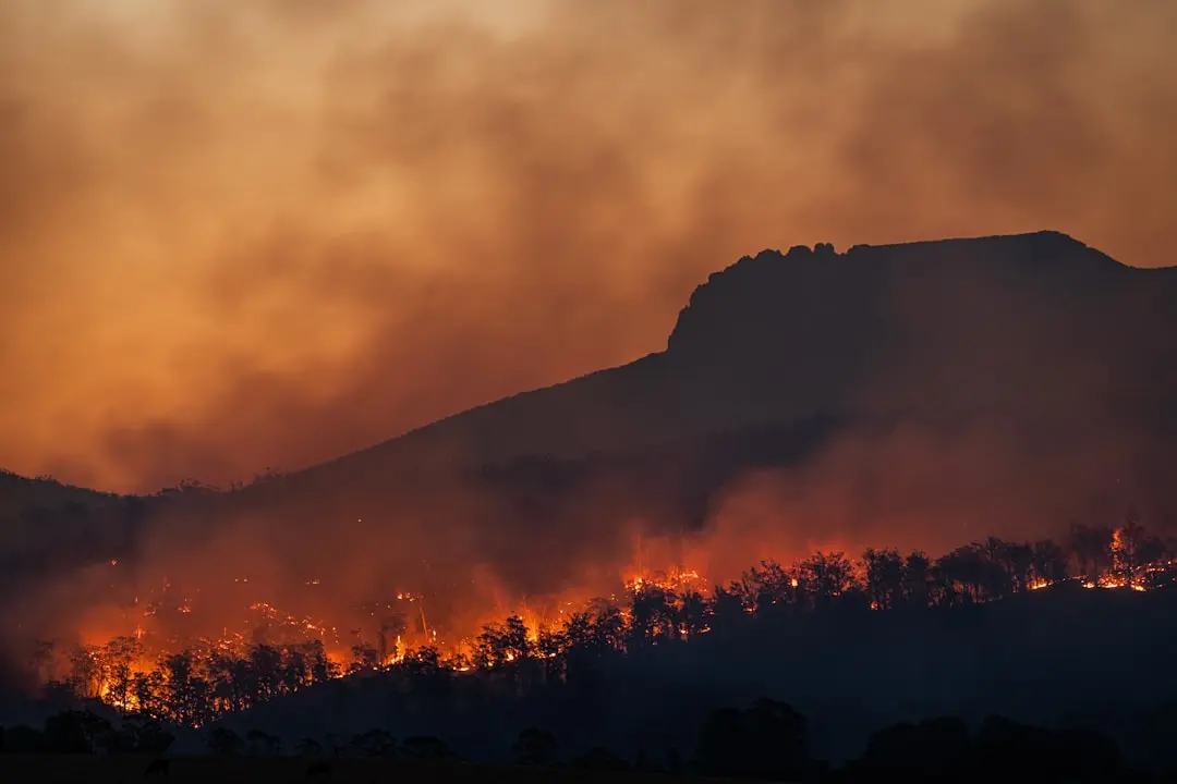 Incendiile din Europa: Peste 3 miliarde de euro pagube, un semnal de alarmă