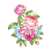 bouquet rose