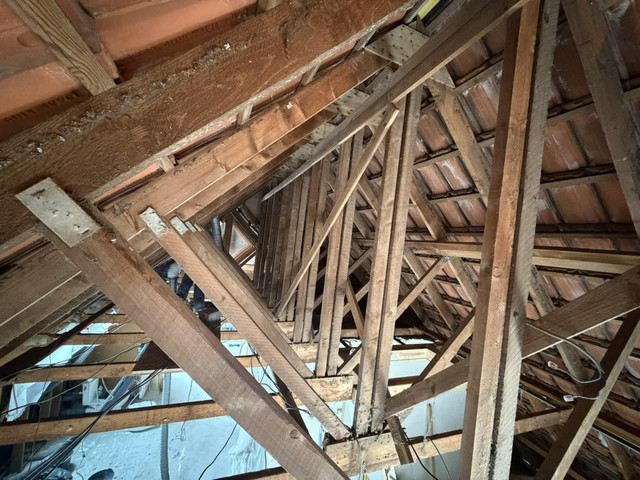 Image 1.jpg