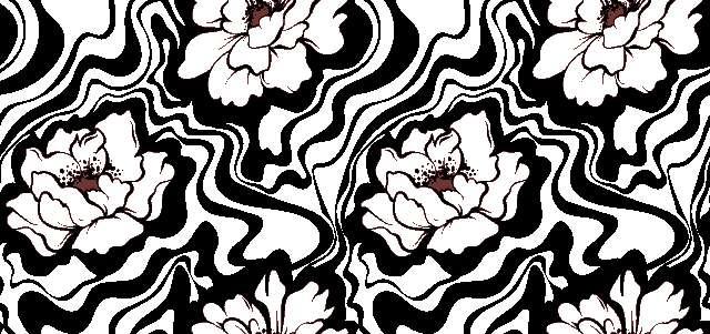 shutterstock 2707656459.gif