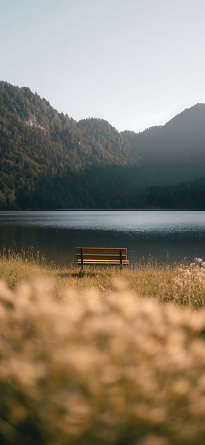 calm1.jpg