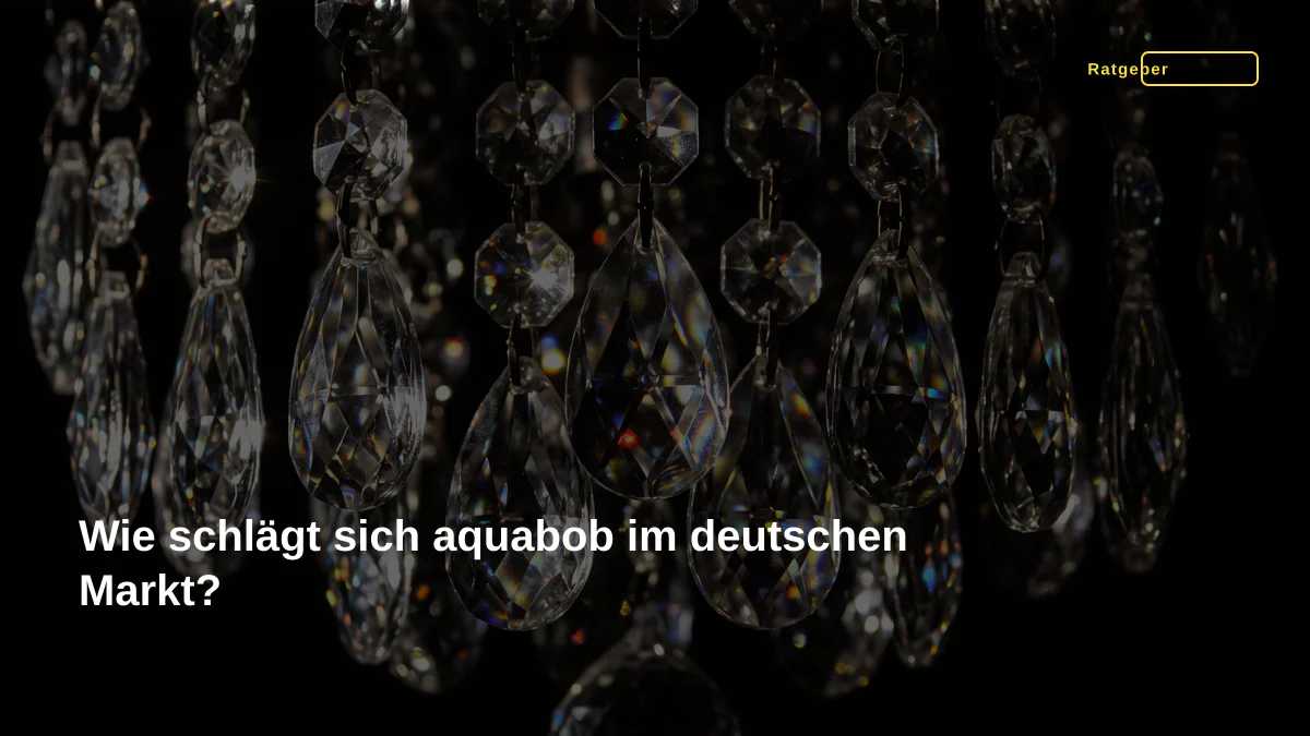 Wie schlägt sich aquabob im deutschen Markt?