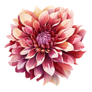 01-179