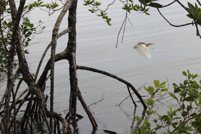 IMG-6836.jpg