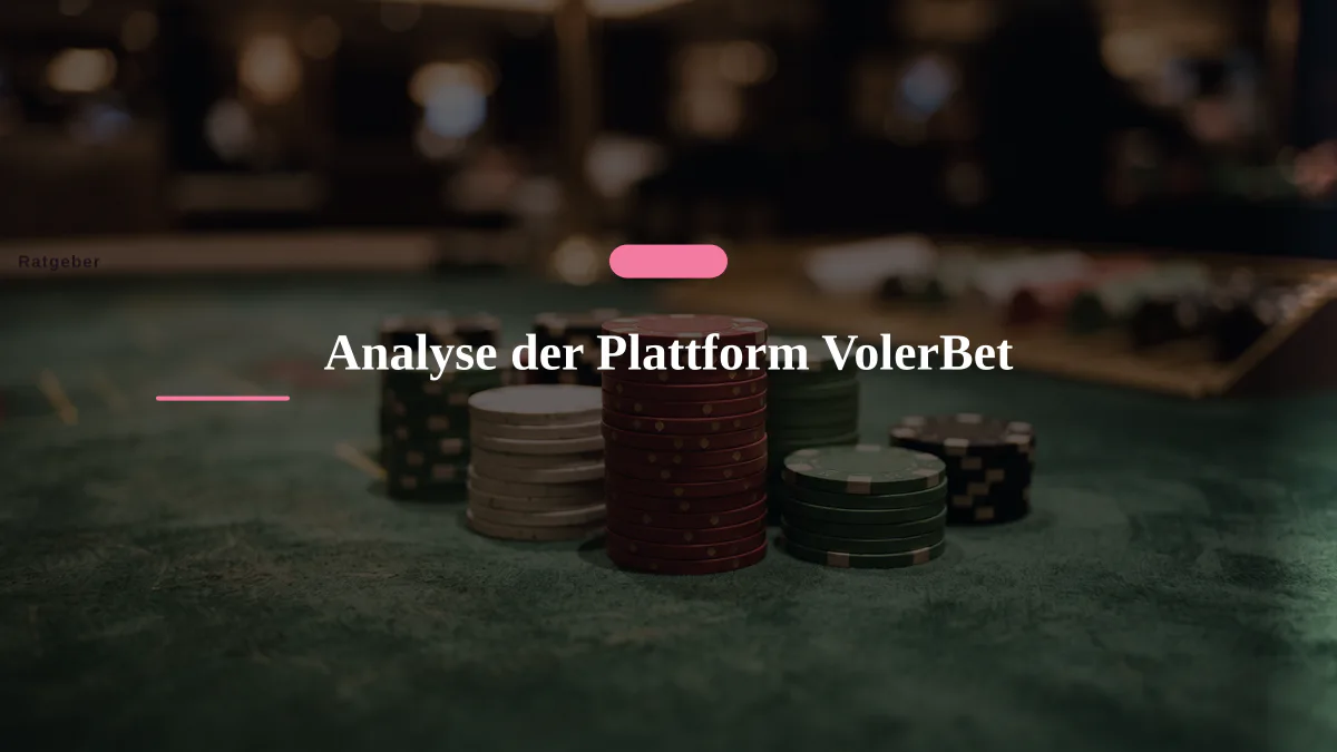 Analyse der Plattform VolerBet