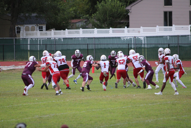 IMG-2821.jpg
