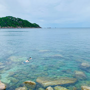 IMG-0690