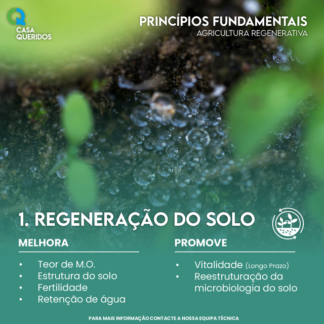 Regenera��o do Solo