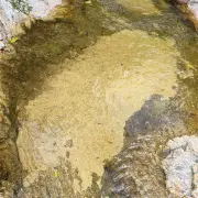 Lata Waterfall9.webp