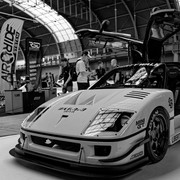 IMG 1237 Dx O