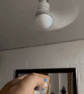 P1 1GIF1