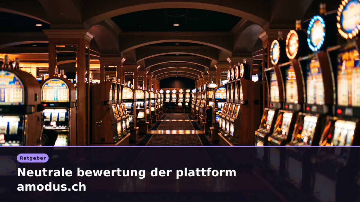 Neutrale bewertung der plattform amodus.ch