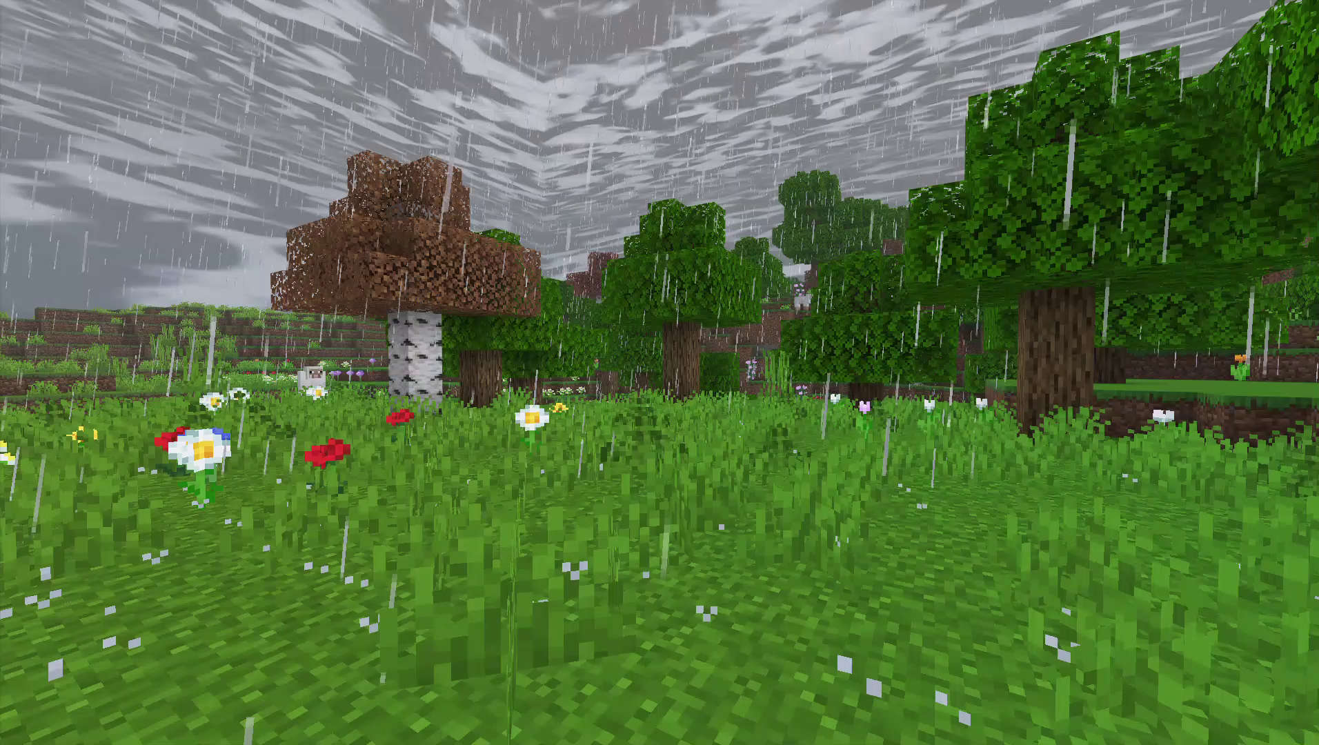 Rainy Flower Meadow