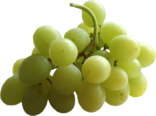0-925ac-1228802.png