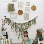 IMG-6530