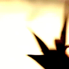 13.gif