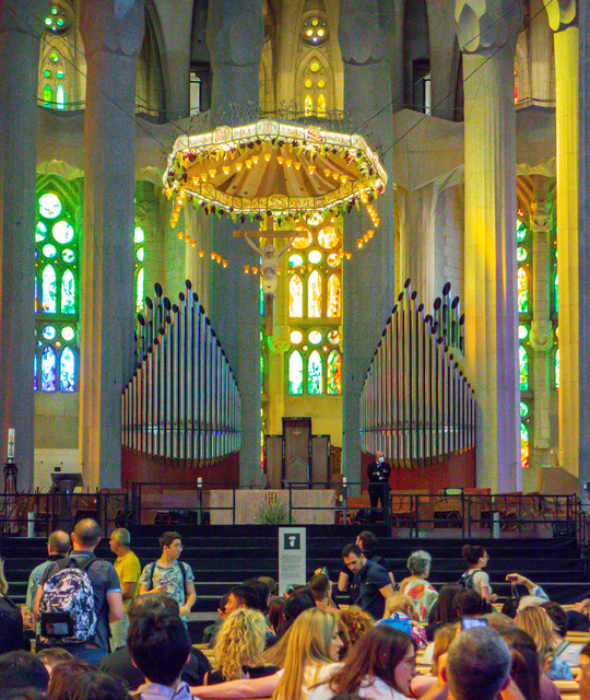 DSC01692.jpg