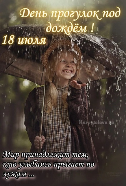 https://i.ibb.co/yF4hvypr/IMG-1046.jpg