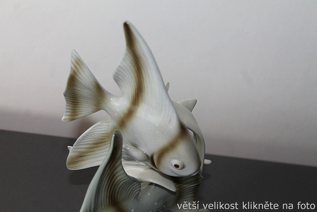 IMG-7906.jpg
