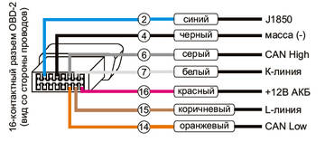 https://i.ibb.co/yF7YTPCB/kn-PIM.jpg