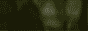 sof2 88x31.gif