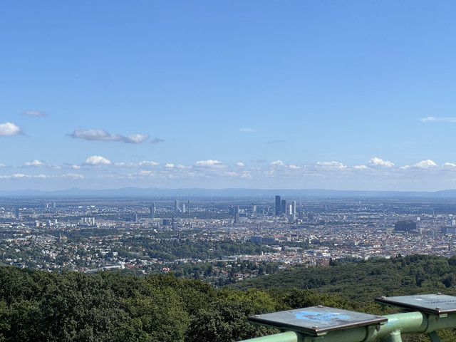 IMG-2369