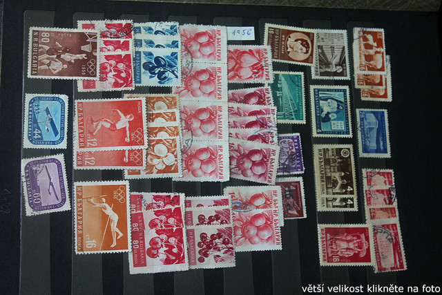 IMG-3011.jpg