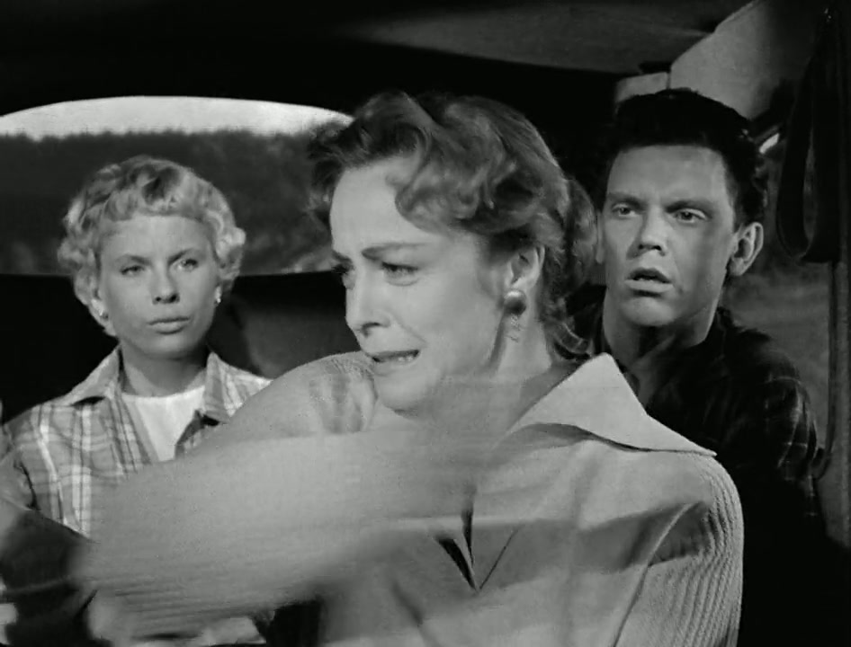 Wild Strawberries Screenshot