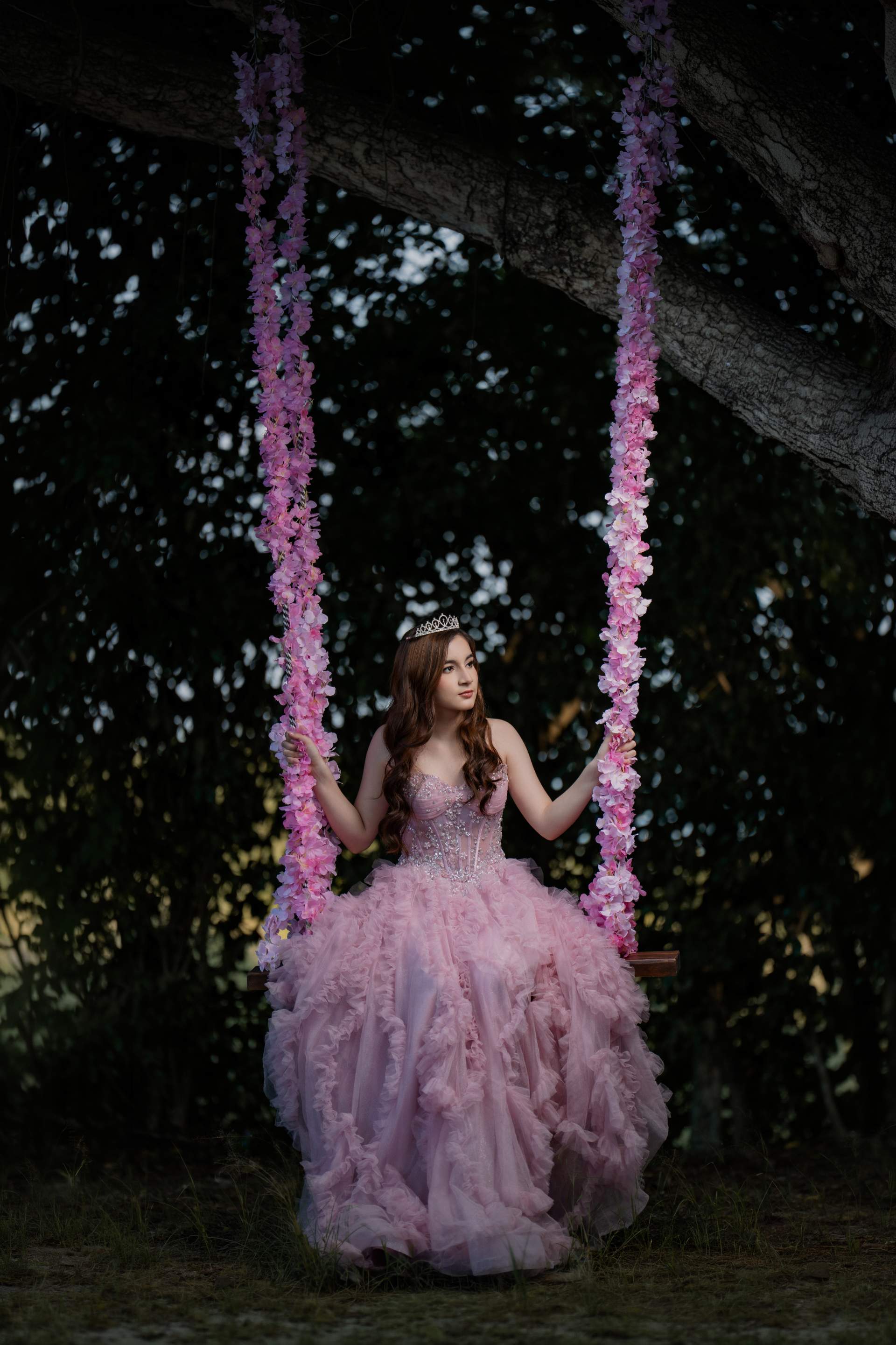 Quinceañera Galería 1 - Foto 27