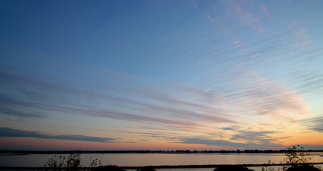 IMG-3386