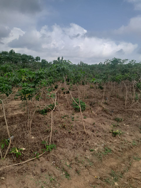 Terrain · Nouvelle Zone Industrielle, Yopougon · à vendre