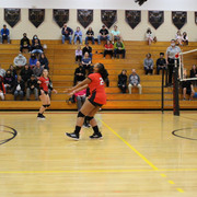 IMG-0028