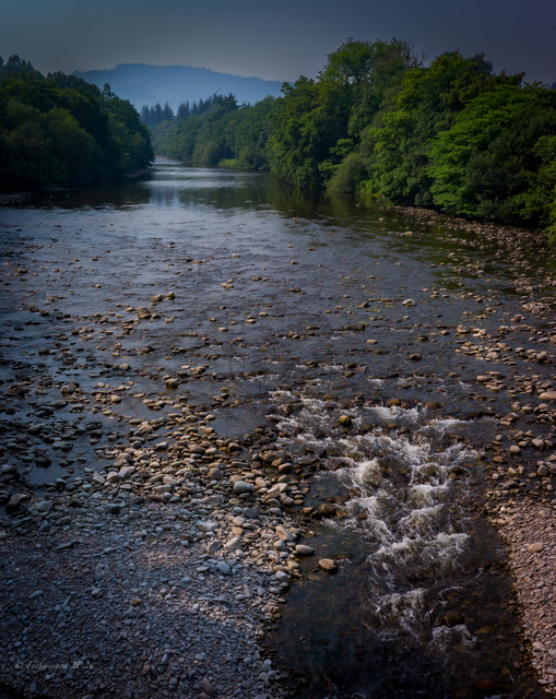 L1461431.jpg