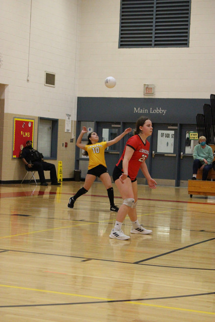IMG-0351
